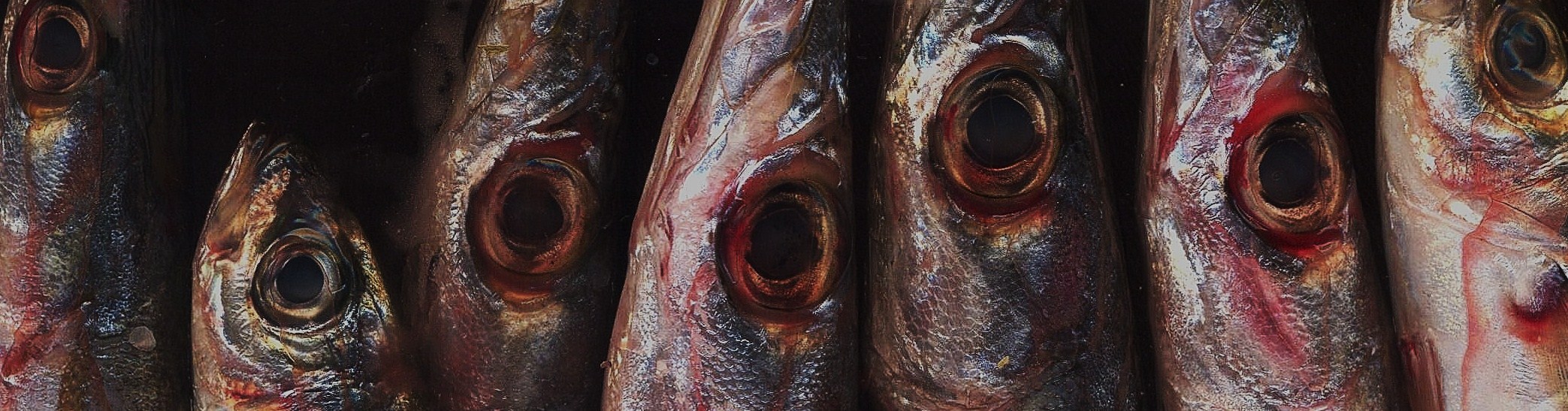 ALTERITES FAMILIERES